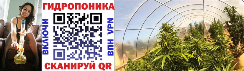 Сколько стоит Лахденпохья Галлюциногенные грибы  Alpha PVP  НБОМе  Меф мяу мяу  Конопля  Гашиш 