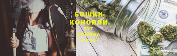дживик Баксан