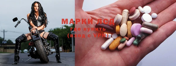 ПСИЛОЦИБИНОВЫЕ ГРИБЫ Балабаново