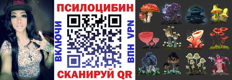 Псилоцибиновые грибы прущие грибы что такое Лахденпохья